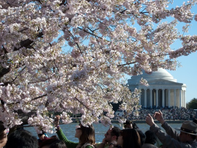 3415228401_e801d4f2ce_o